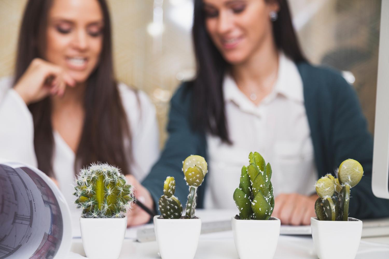 Elegancia Resistente: Cuidado de Suculentas y Cactus en Interiores